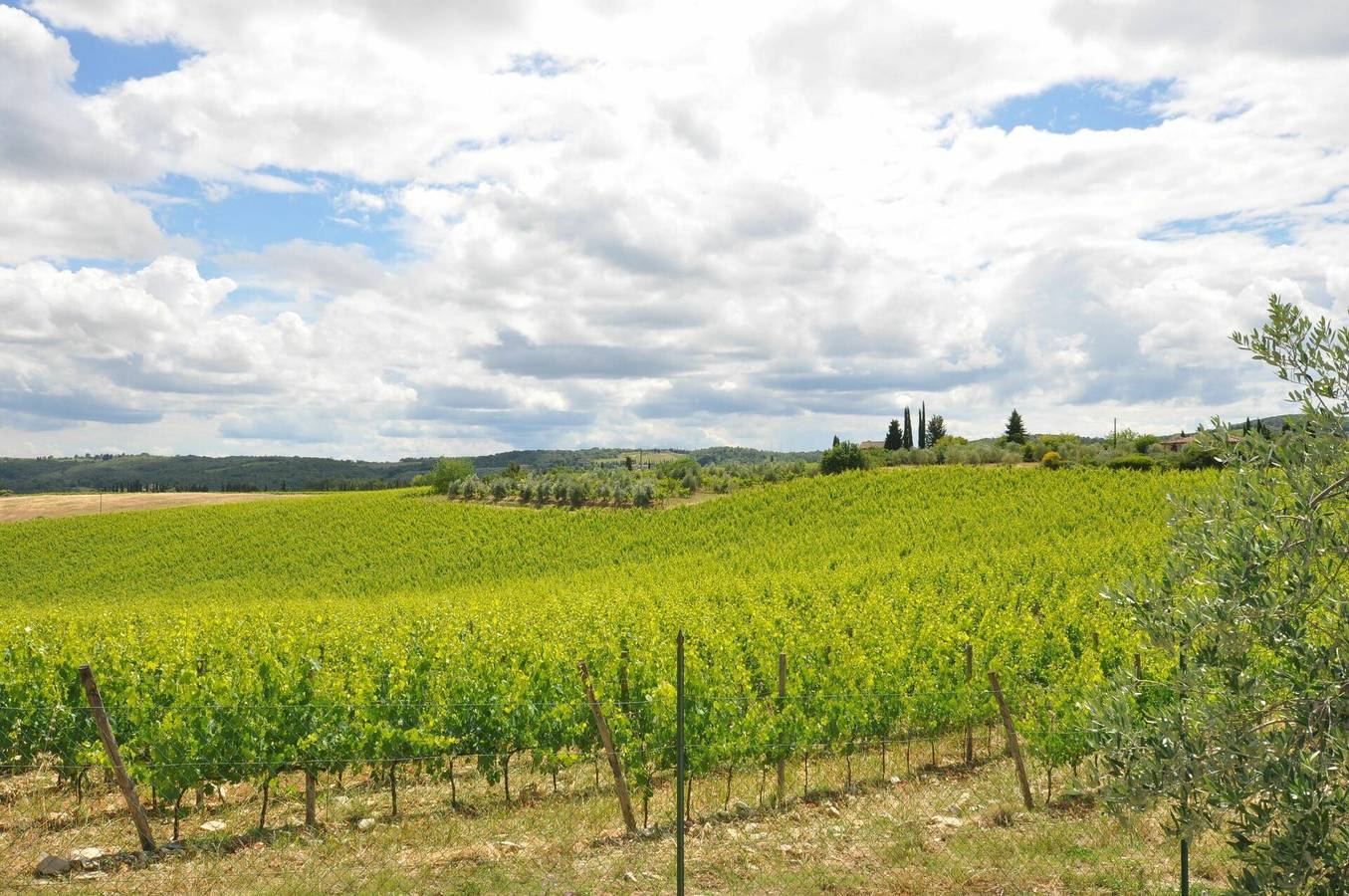 Villa für 8 Personen mit Pool in Gaiole in Chianti, Chianti