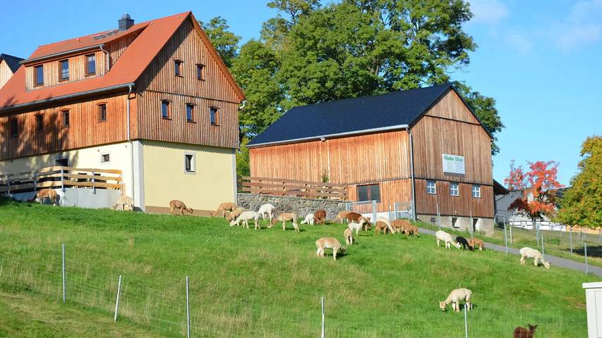 Ferienhaus für 9 Personen, mit Sauna und Garten sowie Terrasse in Frauenstein - 2