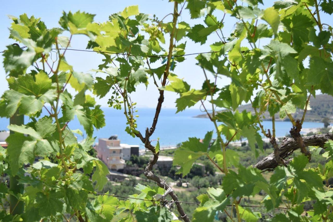 Apartment with Garden View in Himarë, Vlorë