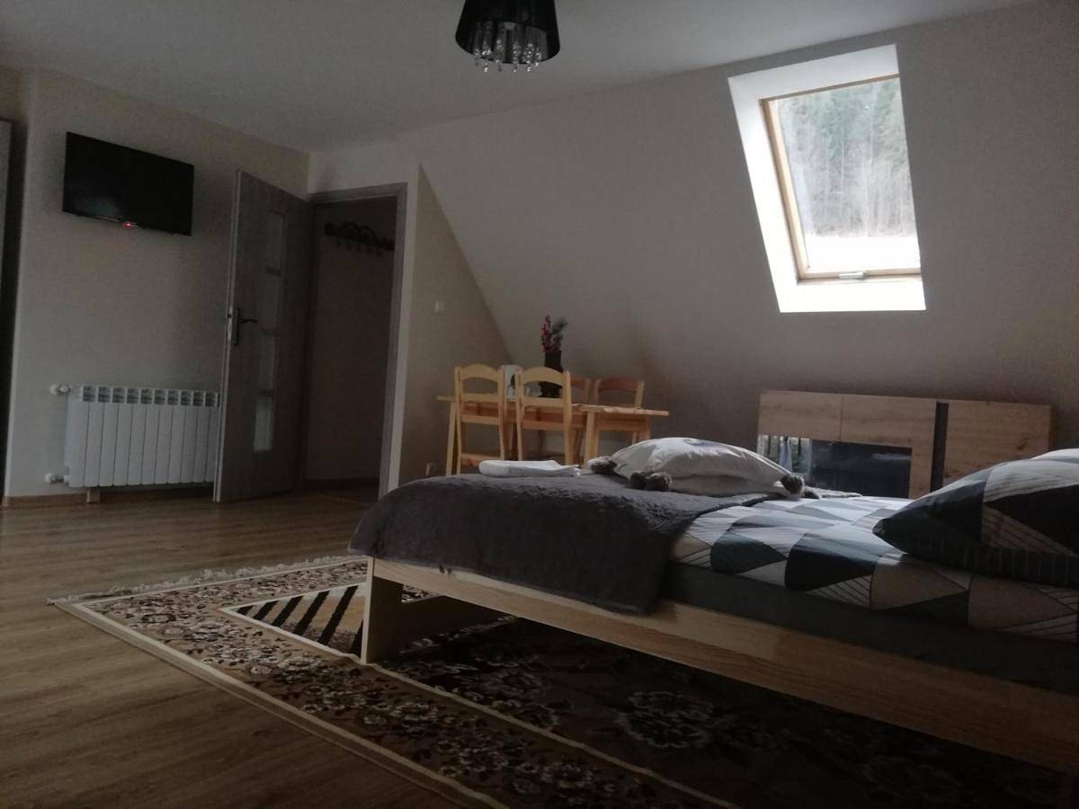 Cały apartament wypoczynkowy, Pokoje "U Ani" in Leśnica, Karpaty (Polska)