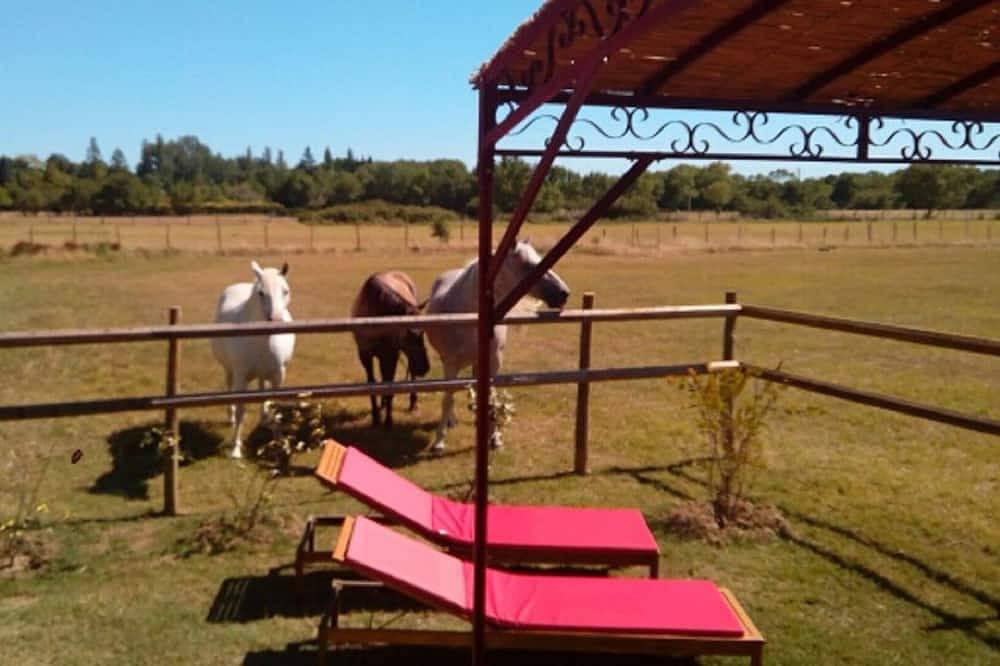 La Nanou'che \" Roulotte en Camargue\" in Le Cailar, Côte méditerranéenne (France)