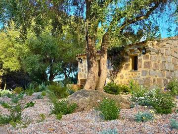 Maison d’hôte pour 2 personnes, avec piscine ainsi que vue et jardin à Arzachena