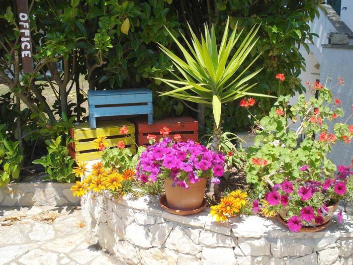 Chambre d’hôte pour 3 personnes, avec jardin ainsi que piscine et vue dans Région d'Otranto - 3