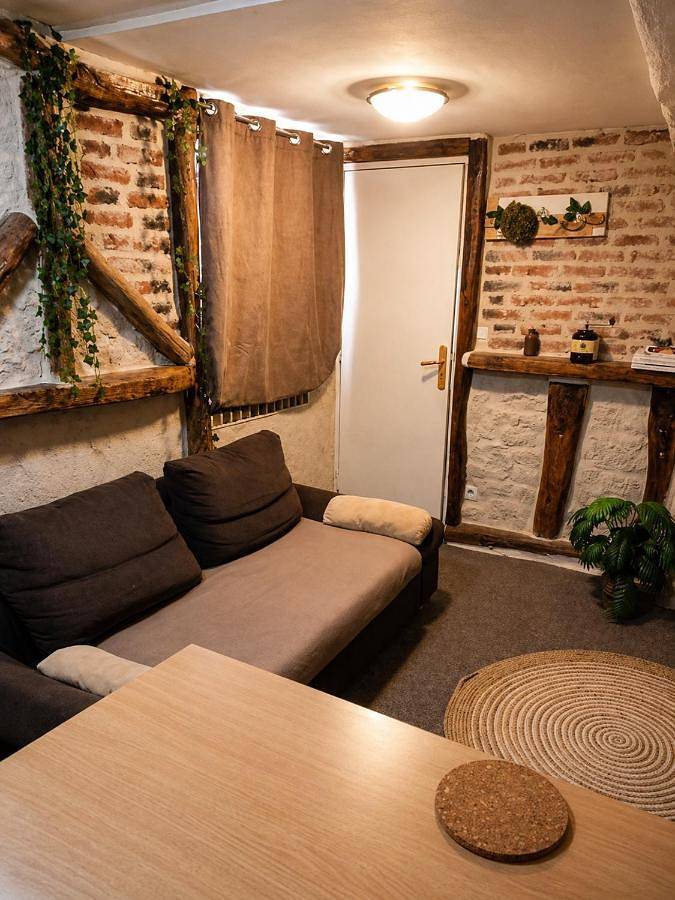 Gîte pour 5 personnes, animaux acceptés à Coligny - 3