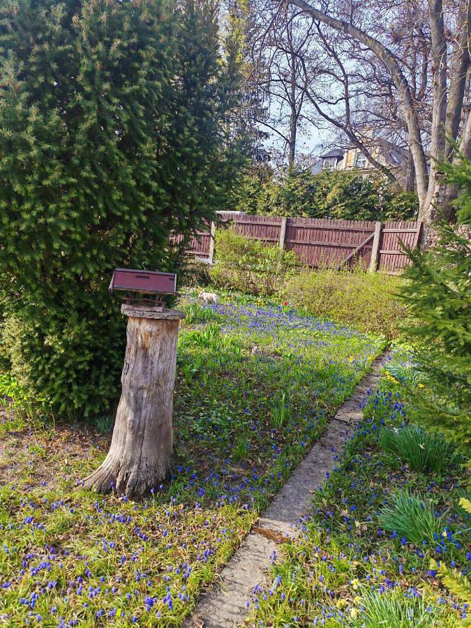 Ferienhaus für 5 Personen, mit Terrasse und Garten in Aschersleben - 2