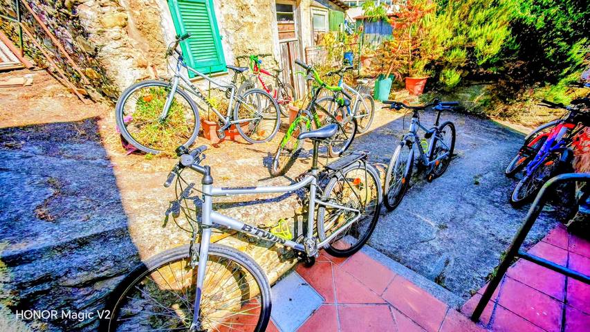 Appartement de vacances pour 6 personnes, animaux acceptés - 1