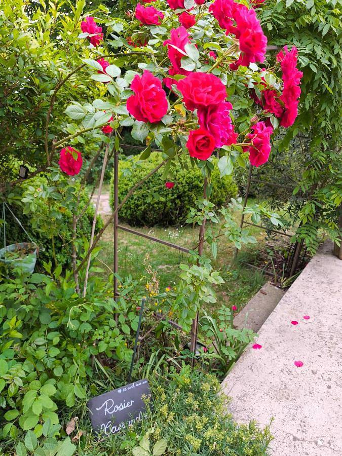 Location de vacances pour 7 personnes, avec terrasse et vue, adapté aux familles à Sebourg - 4