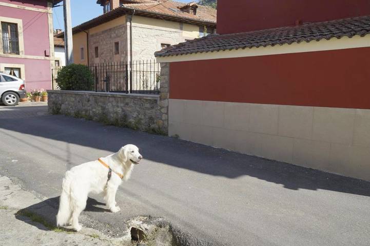 Location de vacances pour 8 personnes, avec vue et jardin, animaux acceptés dans Poo de Cabrales - 4