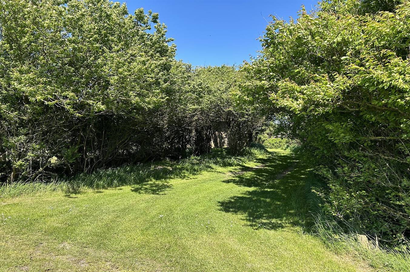 2 bedroom pet friendly home in Tim in Tim, Ringkøbing-Skjern