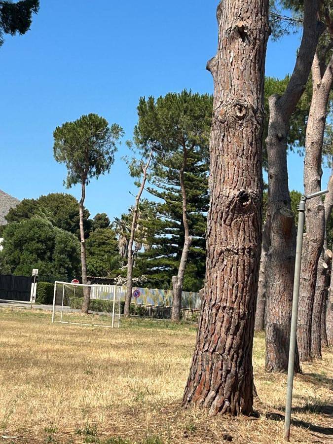 Villa für 4 Personen, mit Garten in Palermo - 3