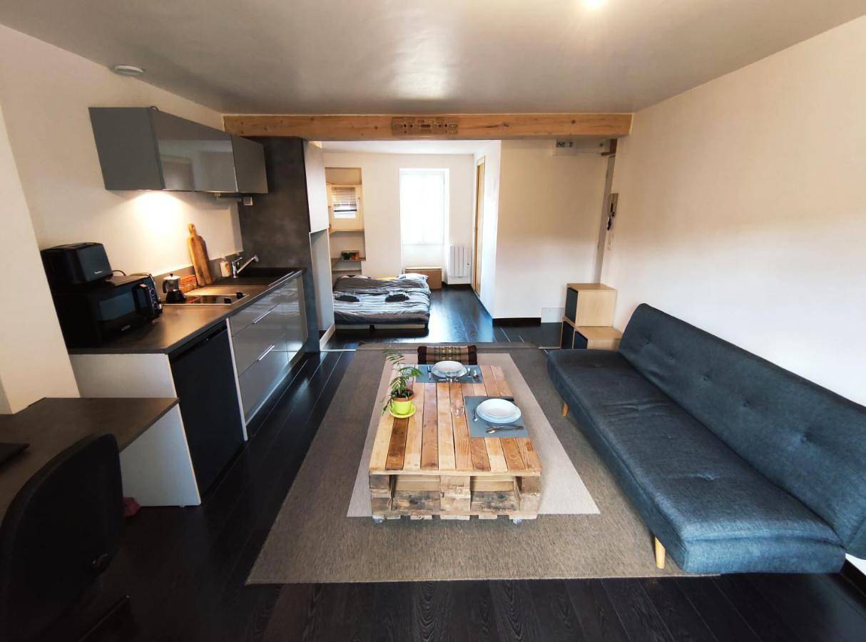 Appartement entier, Millau charmant Studio en centre-ville in Millau, Parc naturel régional des Grands Causses