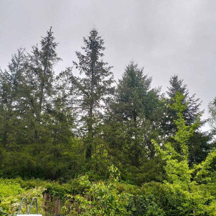 Gîte pour 3 personnes, avec vue et jardin à Saint-Junien - 2