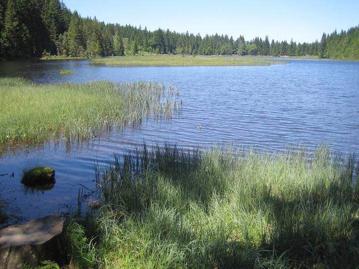 Ferienhaus für 2 Personen, mit Balkon und Balkon/Terrasse, mit Haustier in Bodenmais - 2