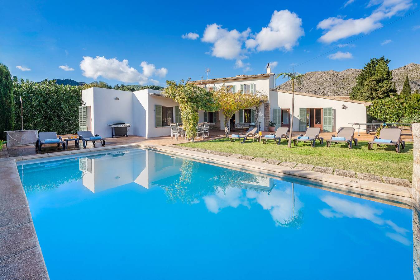 Maronja ref: Vp31 in Torrent de la Vall d'en Marc, Pollença