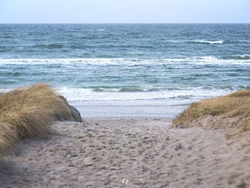 Ferienwohnung für 4 Personen in Dierhagen Strand, Dierhagen, Bild 2