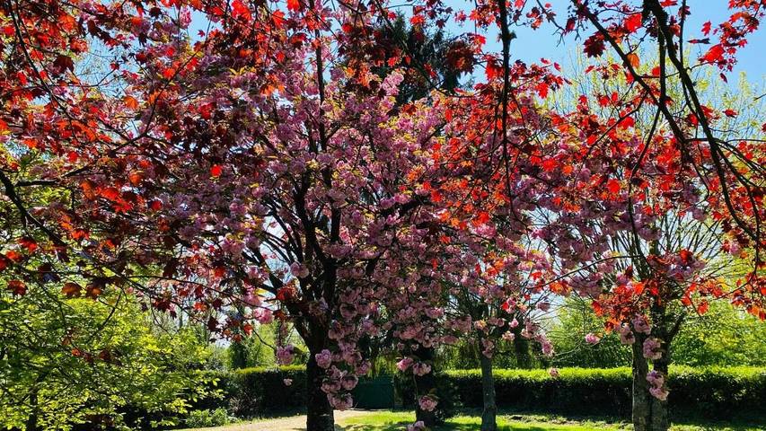 Location de vacances pour 4 personnes, avec jardin à Manneville-la-Raoult - 2