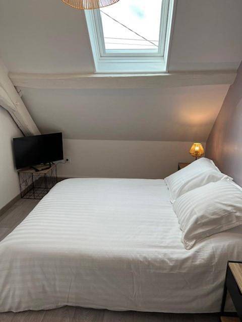 Location de vacances pour 4 personnes, avec terrasse, animaux acceptés à Vendœuvres - 4