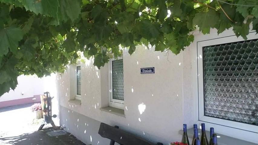 Gîte pour 4 personnes, avec jardin dans Oberemmel - 3