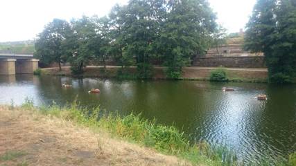 Vakantiewoning voor 4 Personen in Saarlouis, Region Saarlouis, Afbeelding 4