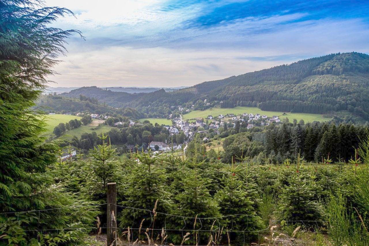 Ganze Wohnung, Feldmann-Schütte in Schmallenberg, Hochsauerlandkreis