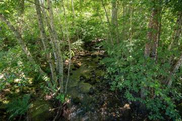 Gîte pour 8 Personnes dans Région d'Autun, Saône-et-Loire, Photo 3
