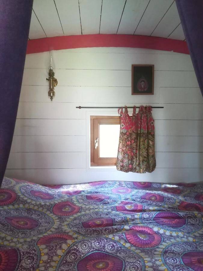 Chambre d’hôte pour 3 personnes, avec vue ainsi que balcon et jardin à Lannion - 4