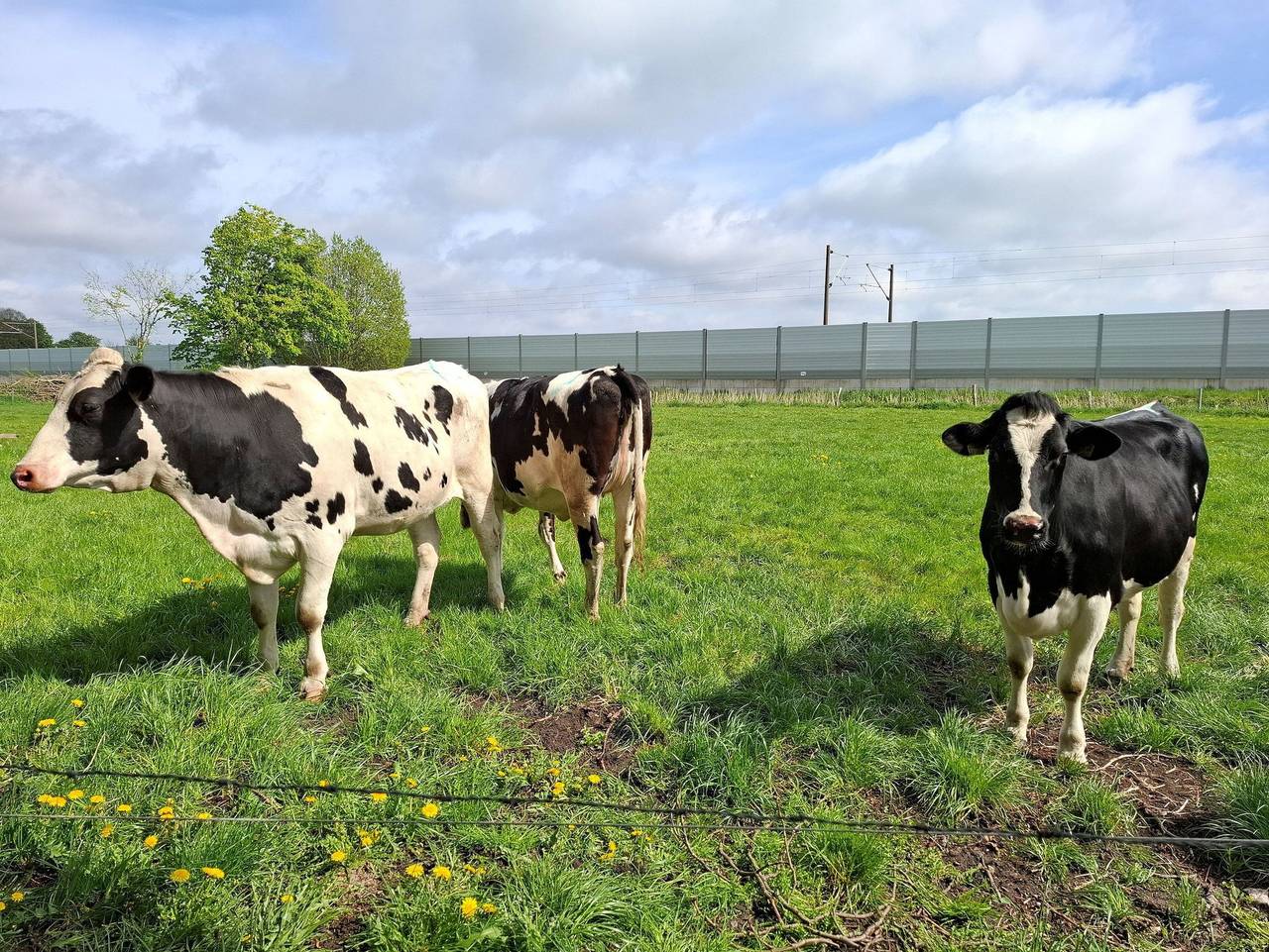 Ganze Ferienwohnung, Naeve: helle, freundliche Fewo mit zwei Schlafzimmern - Fewo Naeve in Oeversee, Grünes Binnenland