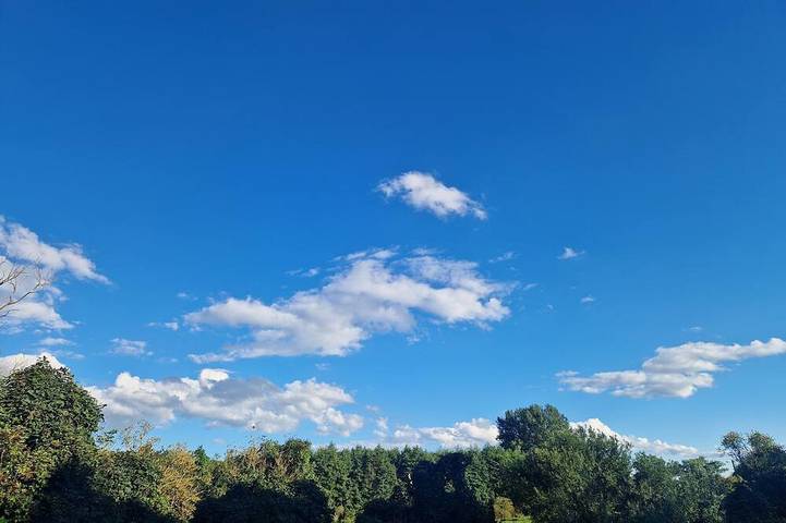 Ferienhaus für 5 Personen, mit Haustier