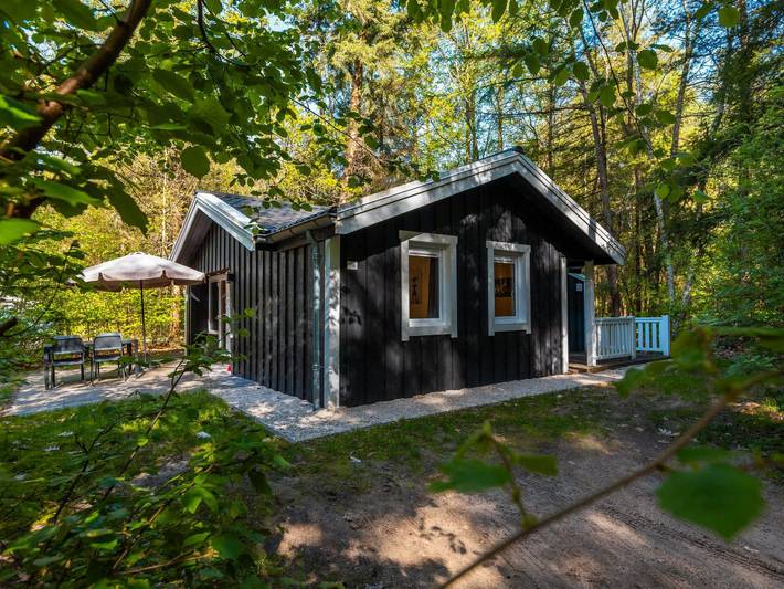 Vakantiepark voor 4 personen, met tuin en zwembad in Ruinen
