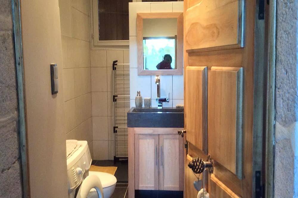 Chalet Large Comfort in Le Bouchet-Mont-Charvin, Annecy region