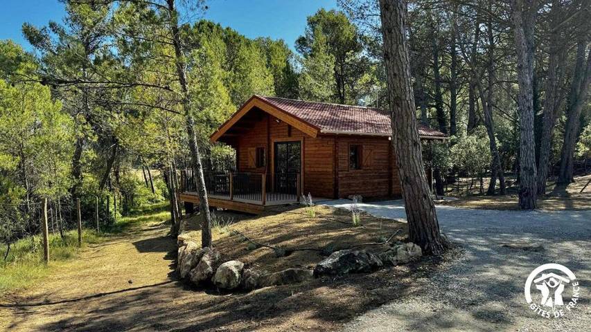 Location de vacances pour 5 personnes, avec Terrasse ainsi que Jardin et Piscine à Pennautier - 4