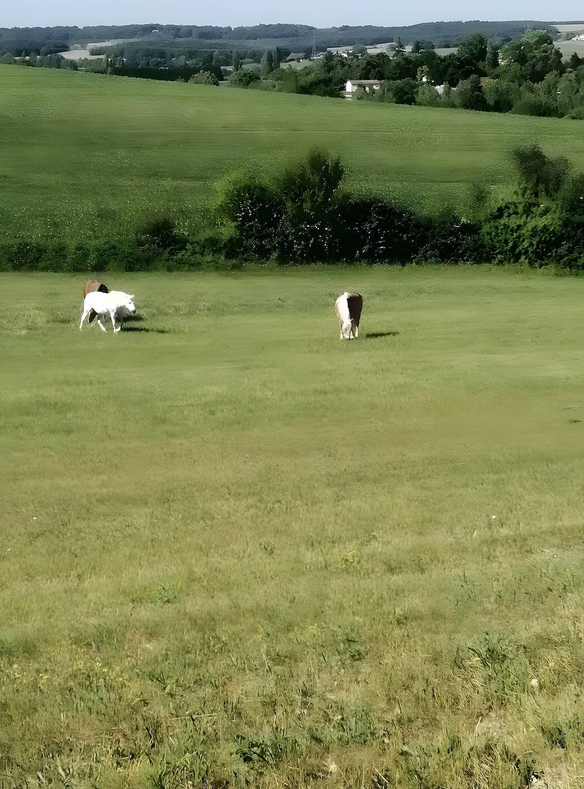 Studio entier, Gîte « Gite À La Ferme - Pardaillan » avec jardin privé et Wi-Fi in Pardaillan, Région de Marmande