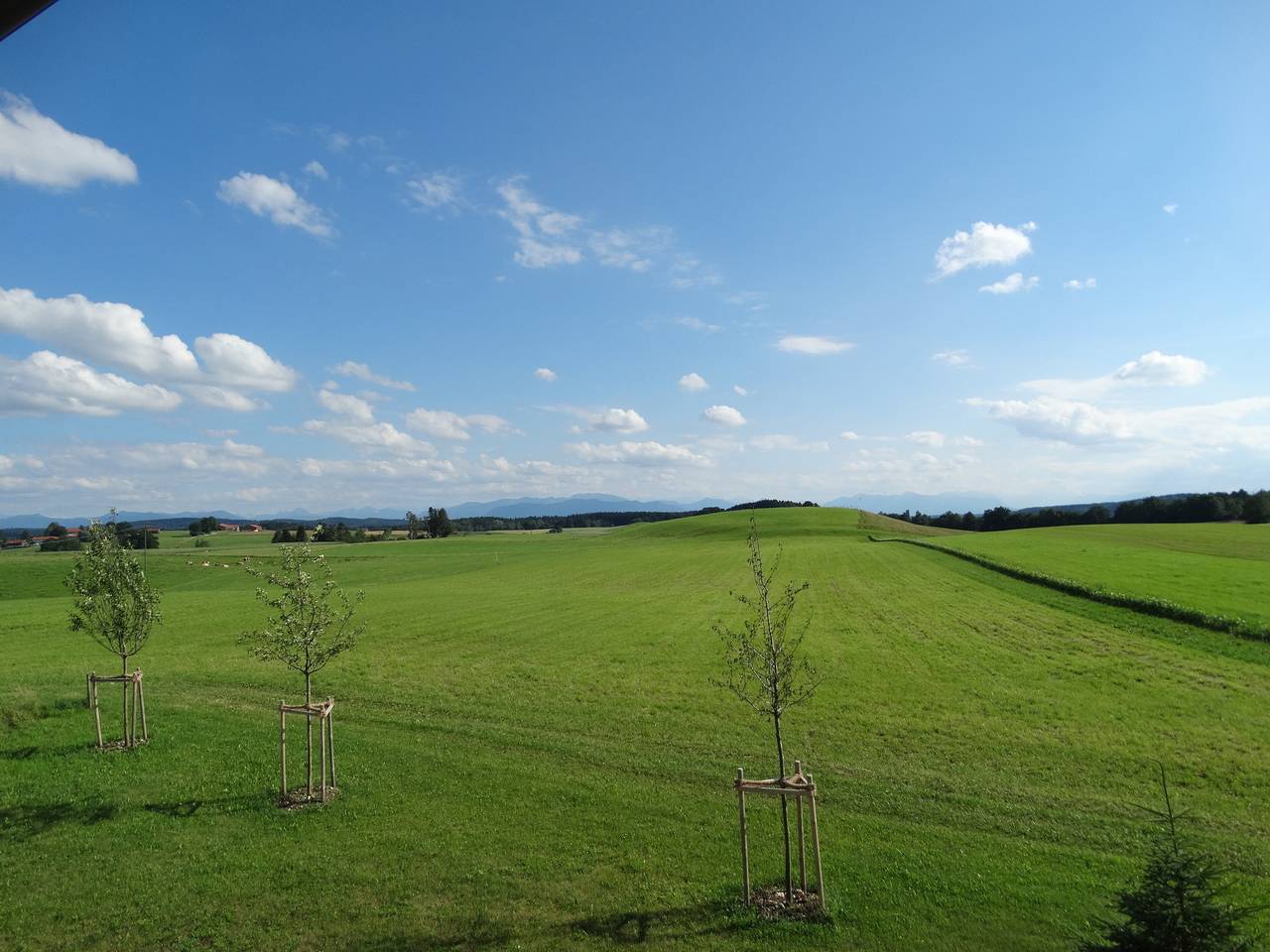 Ganze Ferienwohnung, Ferienwohnung Wallberg in Egling, Tölzer Land