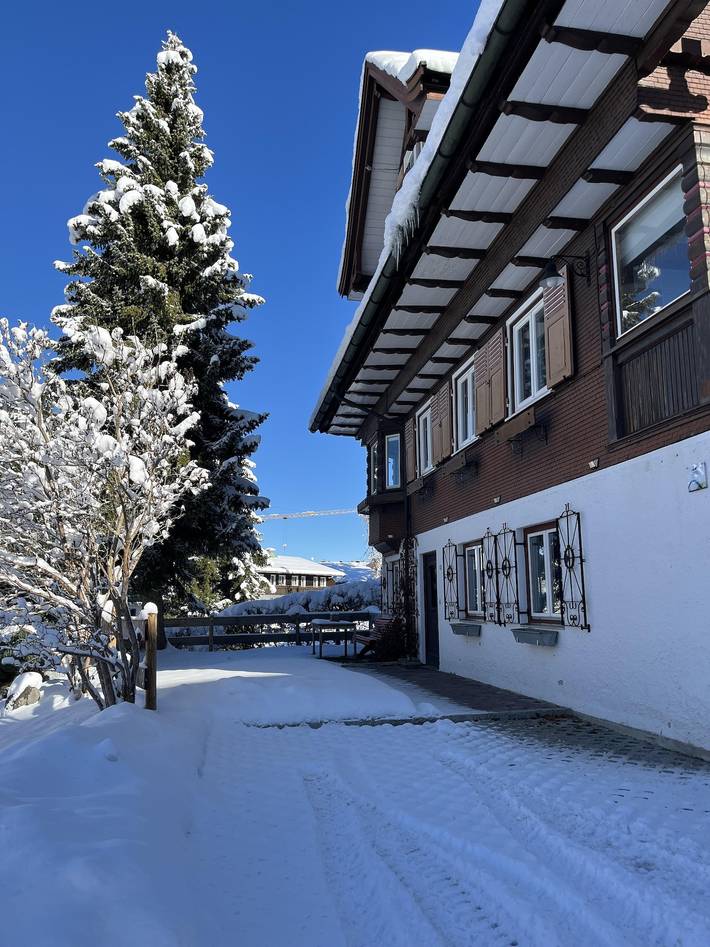 Geheel vakantieappartement, Appartement, douche en bad, Wc, 4 of meer slaapkamers in Riezlern, Mittelberg