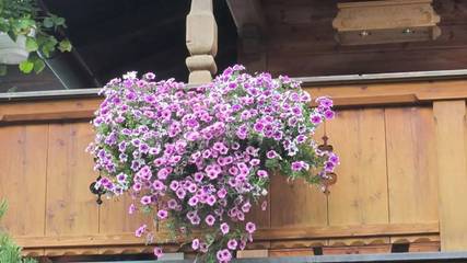 Appartamento per 5 Persone in Regione Alpina di Tegernsee e Schliersee, Foto 3