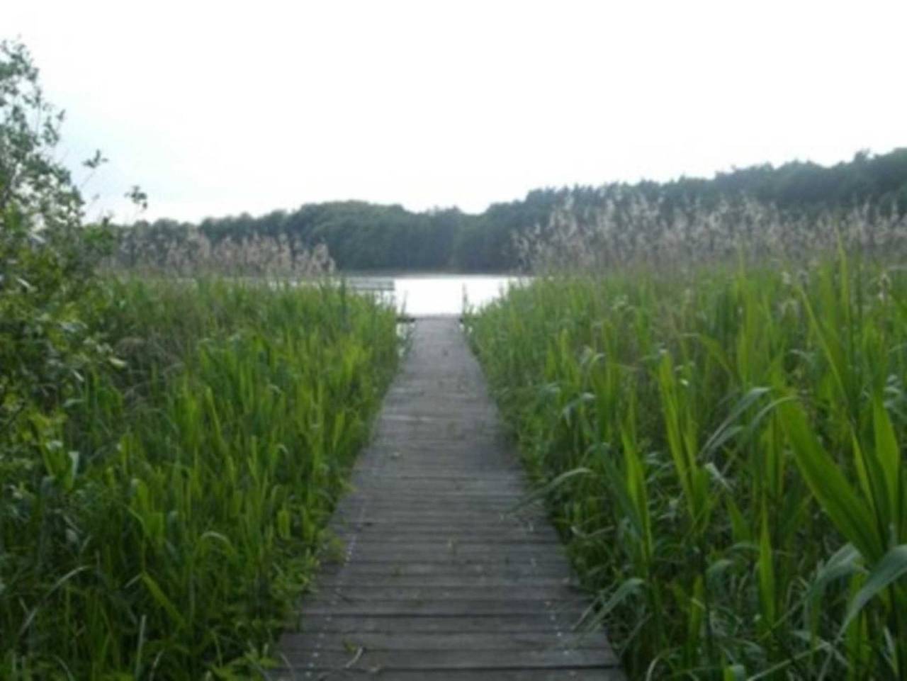 Appel-Huus direkt am See - Appel-Huus in Krakow am See, Mecklenburgische Seenplatte