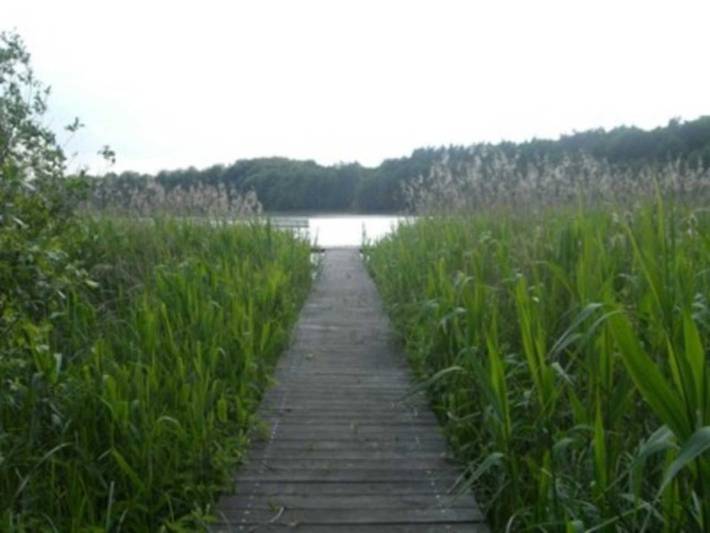 Ferienhaus für 4 Personen, mit Terrasse und Seeblick sowie Garten, kinderfreundlich in Krakow am See - 4