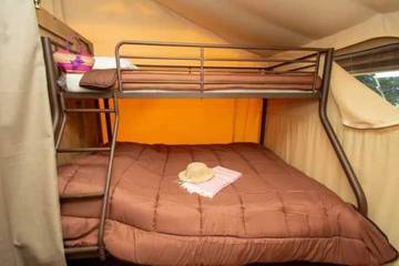 Camping voor 5 Personen in Roquebrune-sur-Argens, Draguignan en omgeving, Afbeelding 2