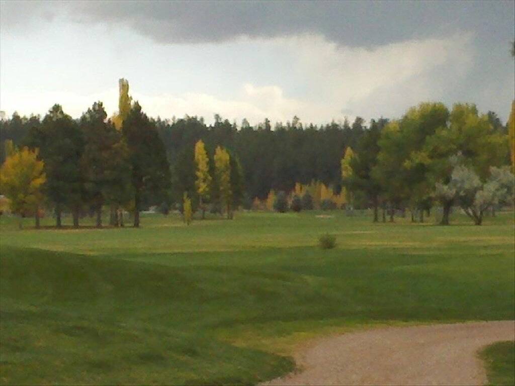 Wald als Hinterhof - In der Nähe von Flagstaff, Grand Canyon, Sedona in Munds Park, Oak Creek Canyon