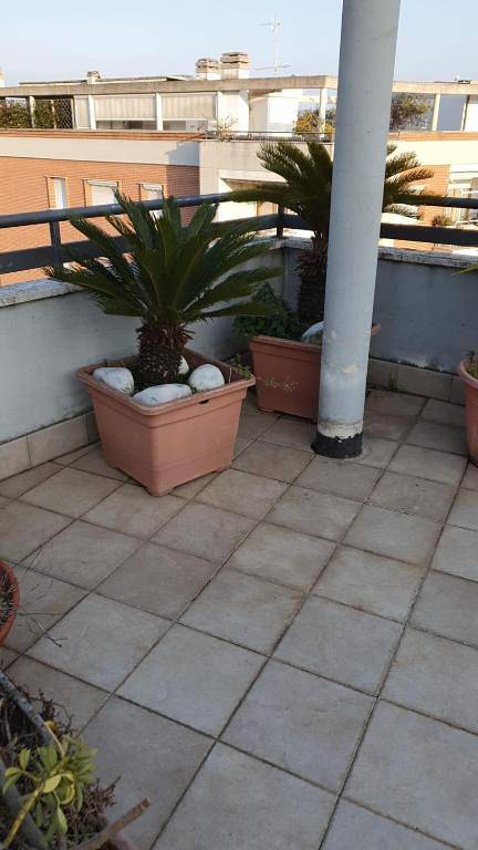 Casa Vacanze vicino mare in Nettuno, Provincia di Roma