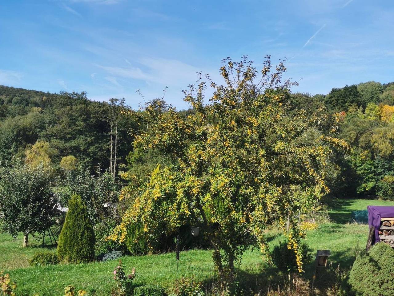 Ganze Ferienwohnung, Ferienwohnung Rhön Natur in Hilders, Rhön-Hessen