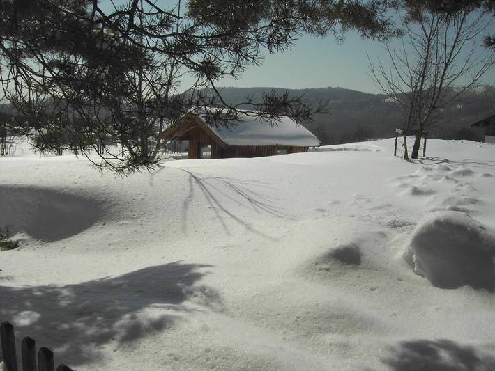 Ferienhaus für 4 Personen, mit Sauna und Garten in Mauth - 2
