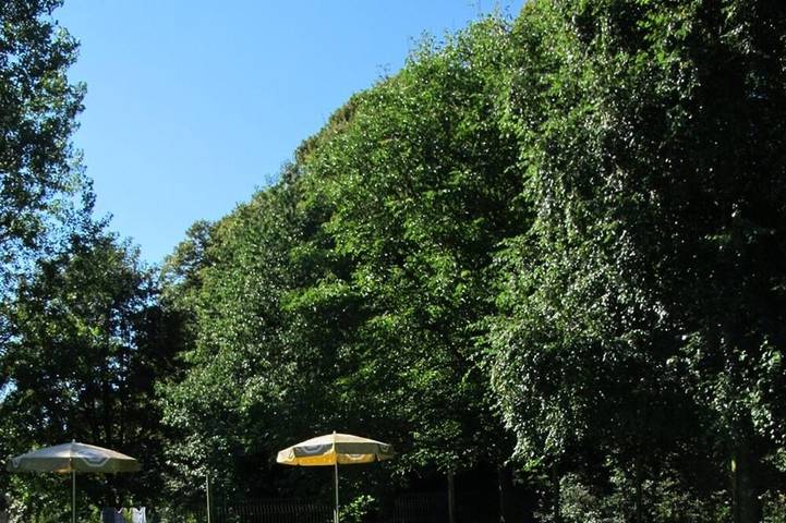 Gîte pour 8 personnes, avec jardin à Tortefontaine