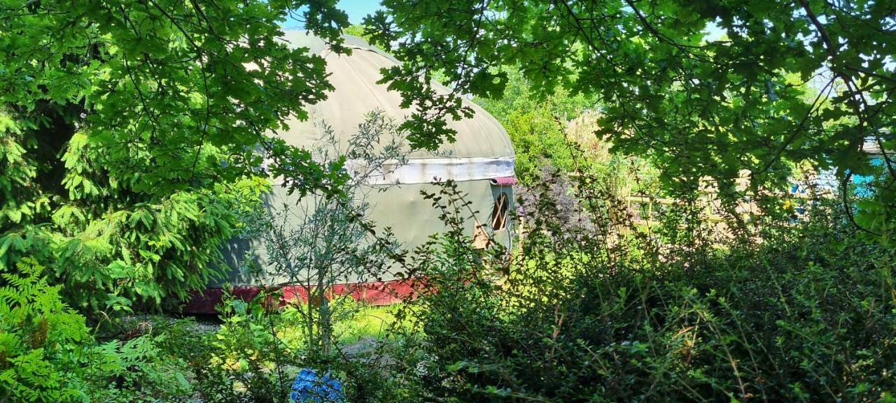Tent in Stroud, Gloucestershire