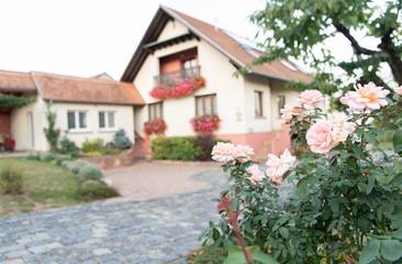 Gîte pour 2 personnes, avec jardin à Orschwiller