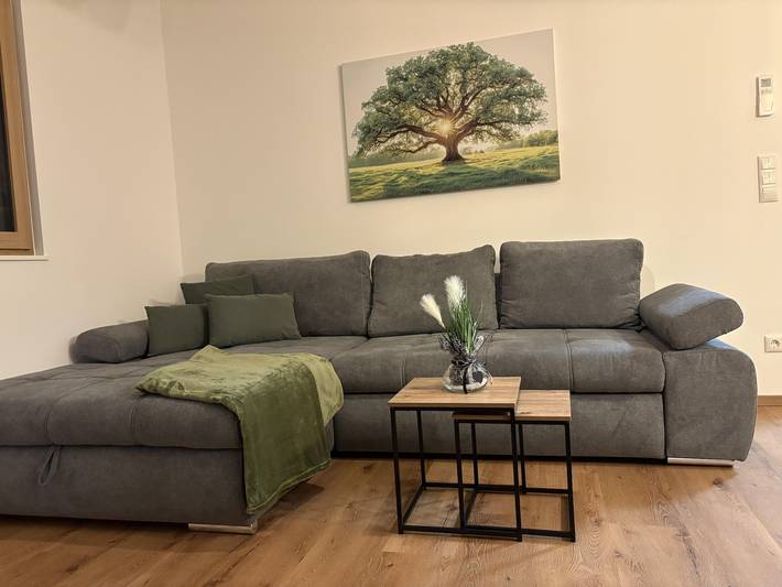 Entire holiday apartment, Appartement/Fewo, Dusche, Wc, 2 Schlafräume in Mitterberg-Sankt Martin, Dachstein Mountains