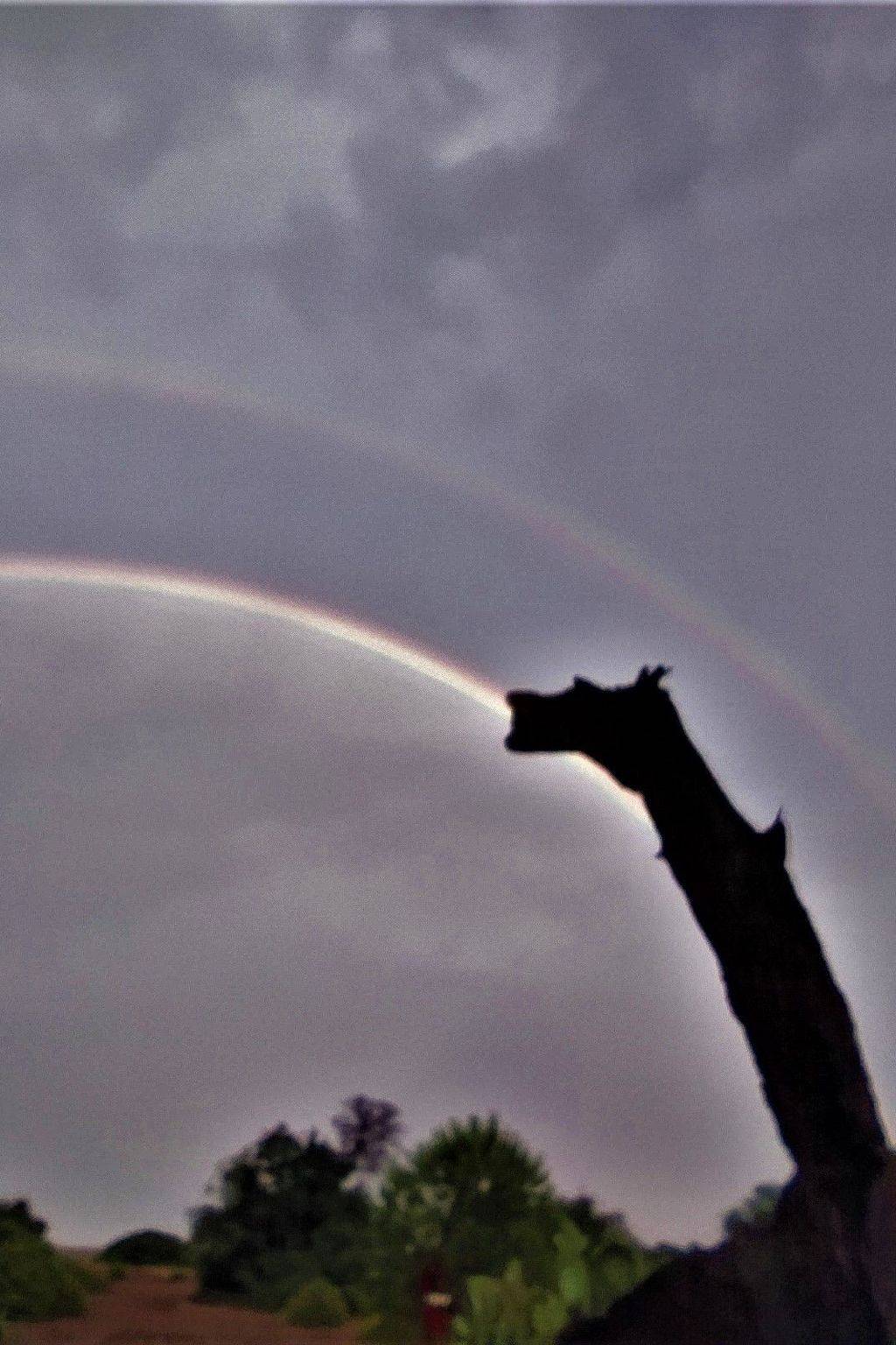 Ganze Wohnung, Luxuriöse Duplex-Wohnungen in Cirali in Kemer, Provinz Antalya