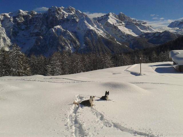 Gîte pour 3 personnes, avec jardin et vue, animaux acceptés à Malè - 3