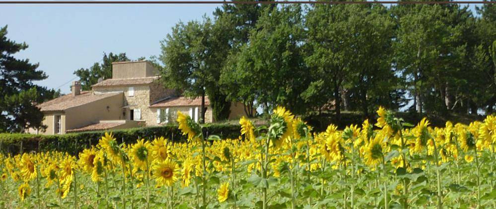 Location de vacances pour 7 personnes, avec jardin ainsi que piscine et vue à La Motte-d'Aigues - 3