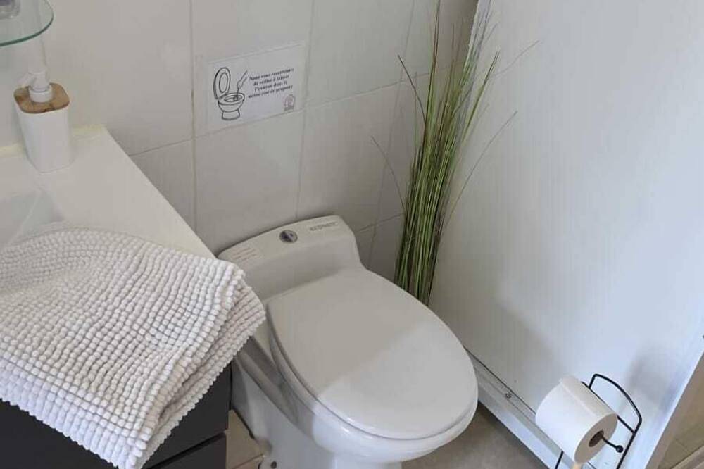 Paradisiaque T2 avec Piscine & jardin privatif à partager en option in La Ferté-Gaucher, Seine-et-Marne